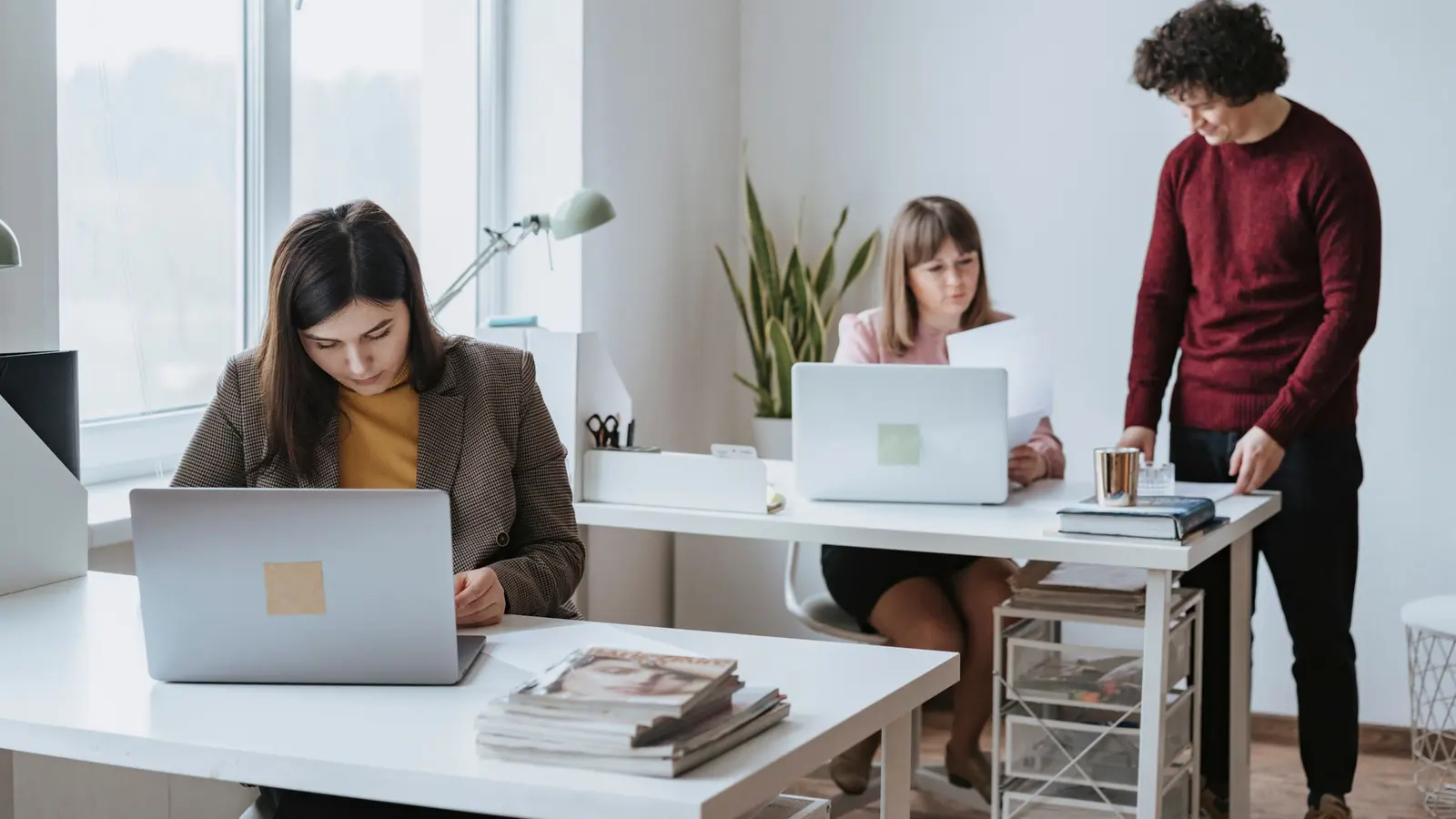 A team working together at a shared office desk