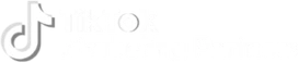 TikTok Marketing Partner